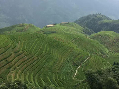 “绿水青山就是金山银山”环境日主题