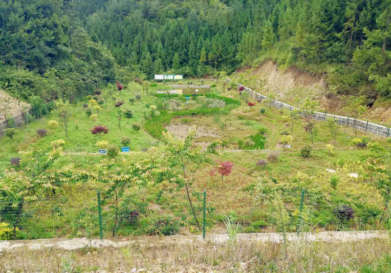 腾冲市中和镇新岐社区传统村落环境综合治理项目