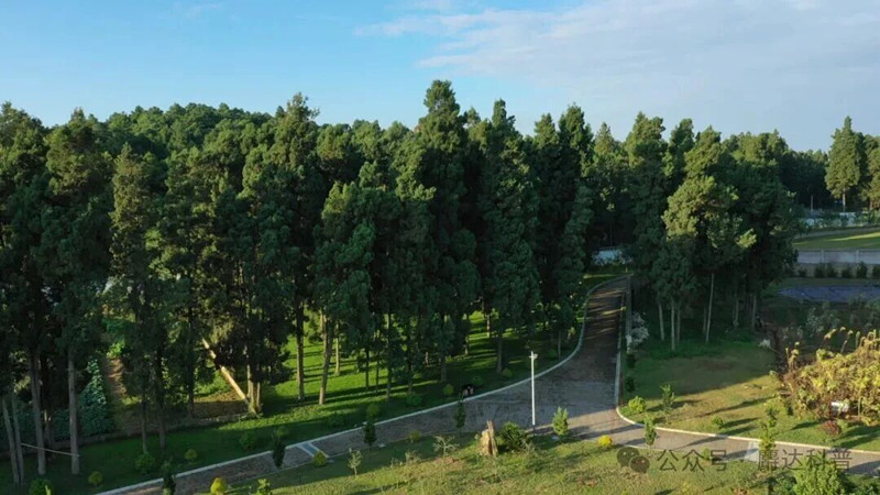 为“十五五”美丽中国建设开好局起好步——生态环境部解读新一年生态环境保护工作发力点（新华社）