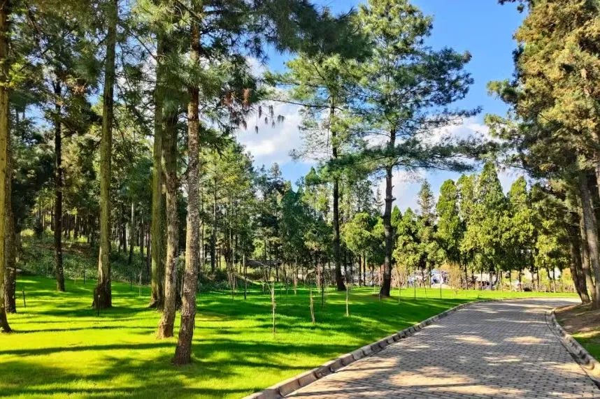 把绿水青山刻在今天、刻进未来（人民日报）